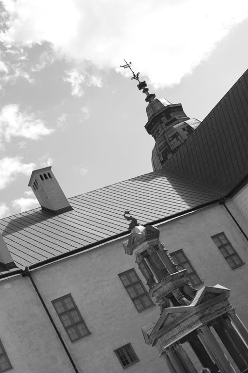 IMG_2645_1 IMG_2645_1