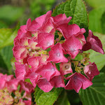 DSC_1218.jpg