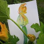 vegie_artworks_10 - 063.jpg