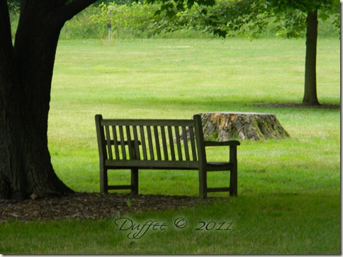 Come Rest In The Shade