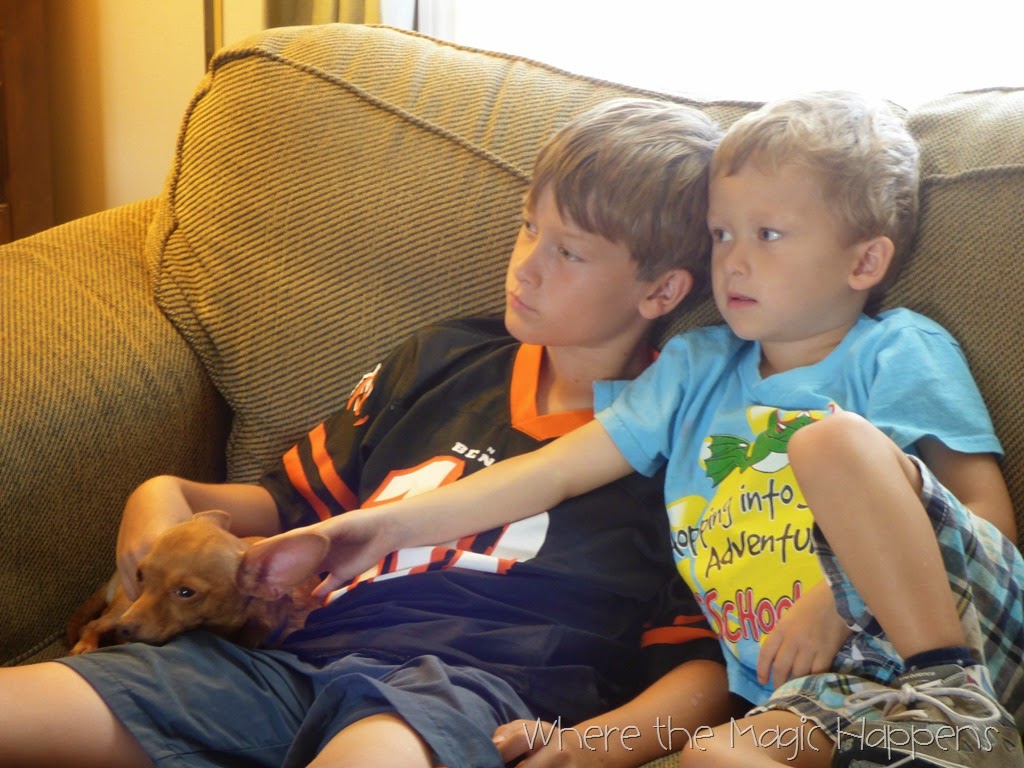 [P1010674%255B8%255D.jpg]