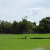 Thaïlande - Entre Chumphon et Bang Saphan