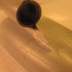 IMG_3561.JPG