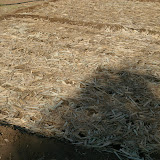"God's blanket" (mulch) instead of tilling