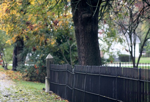 fall2011 003