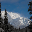 IMG_6041.jpg