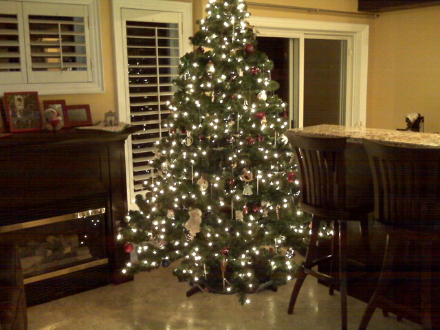 [tree%255B2%255D.jpg]