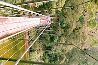 NZD2-12_PA&JK_95070005.JPG