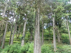DSCN0197 DSCN0197
