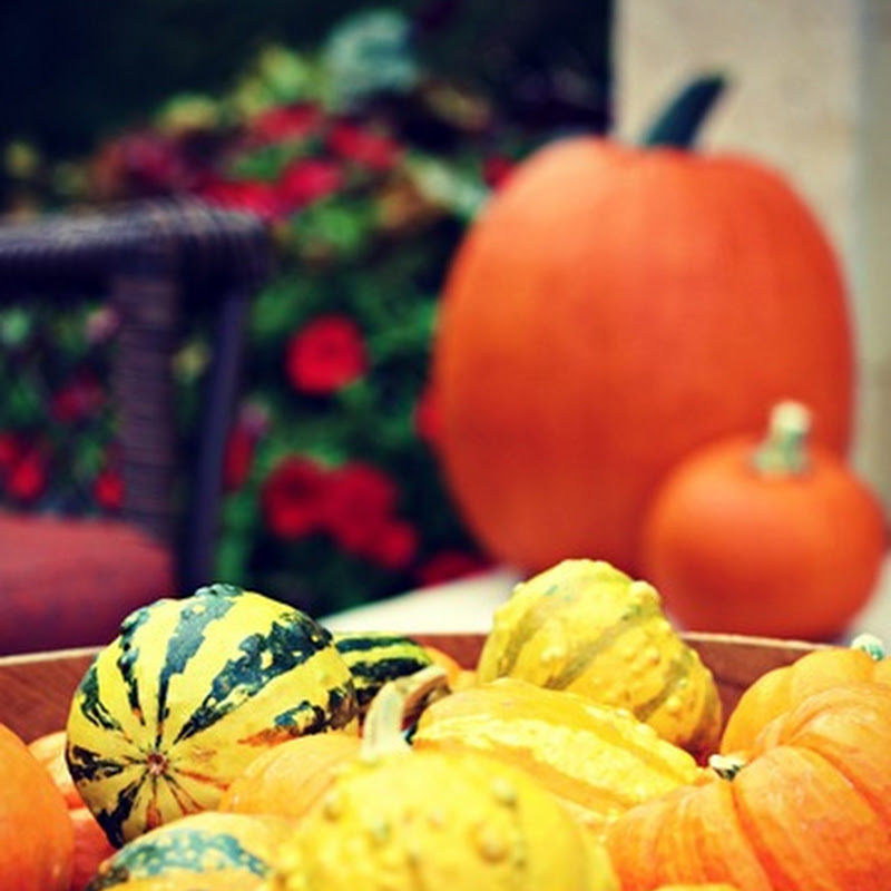 A pumpkin wreath (on the patio)