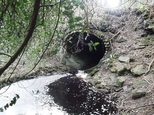[culverts%2520007%255B6%255D.jpg]