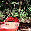 DSCN6098.JPG