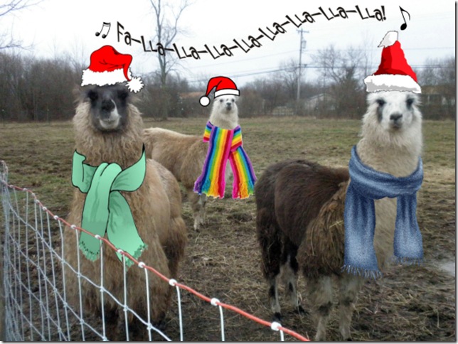 Merry Christmas! Merry Christmas!