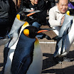 hokkaido_313.jpg