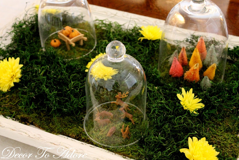 fall under glass 012