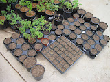 Post prepared for planting
