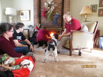 IMG_2247.jpg IMG 2247