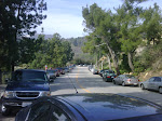 IMG00683-20100130-1253.jpg