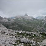 IMG_0247.jpg