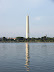 Monuments at Night - Walking Tour