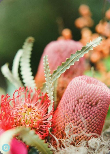 Crosspolination-Austin-Texas-flowers-4 pollen floral art and q weddings