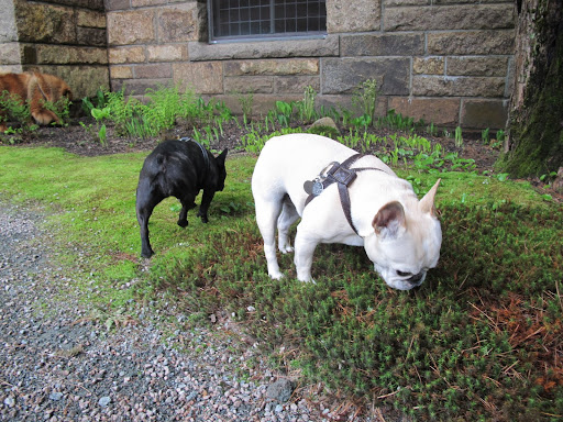 Let the hunt begin!  Let's start sniffing!
