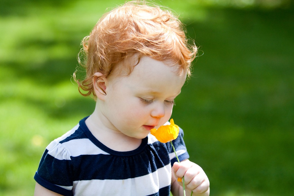 [20120525-IMG_38525.jpg]