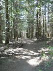Elk Mountain