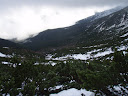 PA230099.JPG