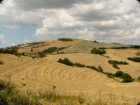Tuscany_landscape_west_of_Siena