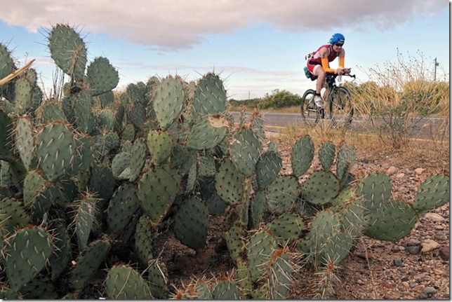 IMAZ-bikedesert IMAZ-bikedesert