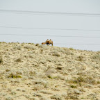 20060917-DSC_0014.jpg