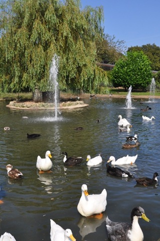 [Top%2520lake%2520late%2520Aug%25202012%2520DSC_0580%255B7%255D.jpg]