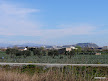 Artichoke fields on the Llobregat with Montjuic in the background