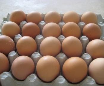 [huevos2%255B3%255D.jpg]