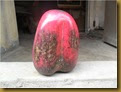 Fosil belimbing - 2 Fosil belimbing - 2