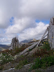 mount_st._hellens