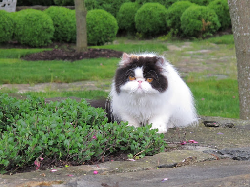 Empress Tang sat in solitude - what is she doing?  Stalking her next victim, no doubt.
