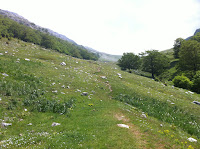 IMG_1325.JPG Photo