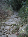 IMG_4851_512.JPG