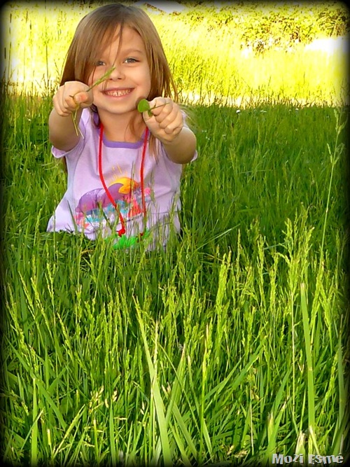 [Grass11.jpg]