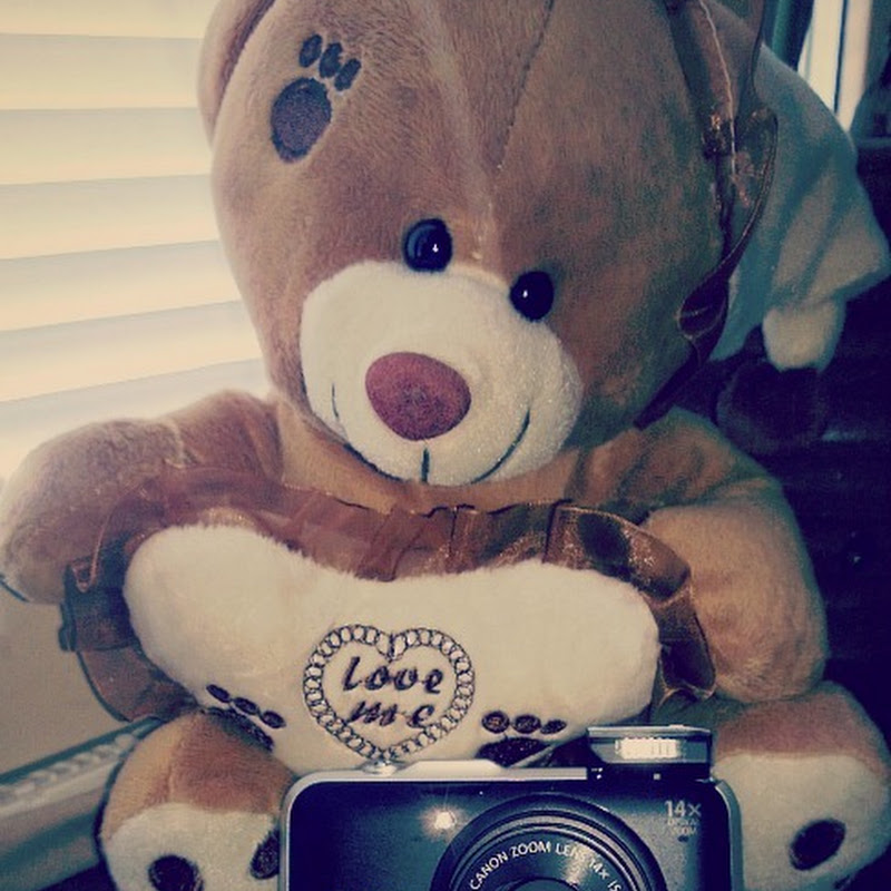 A Look at the Best Digital Camera and Camera…