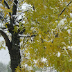 2013-sotosalbos-nieve7.jpg