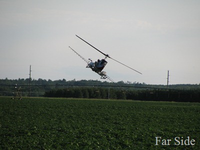 IMG_2002 IMG_2002