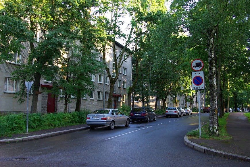 IMGP7866.JPG