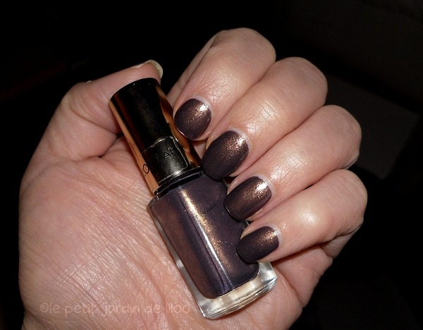 006-loreal-paris-color-riche-mysterious-icon-mini-nail-polishes-review-swatches- 006-loreal-paris-color-riche-mysterious-icon-mini-nail-polishes-review-swatches-