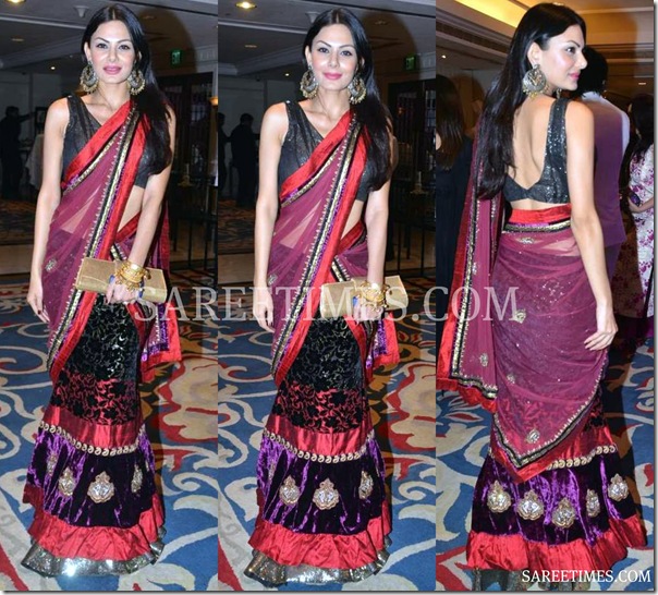 Anchal_Kumar_Shimmer_Saree