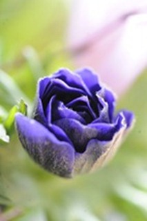20120223_101057