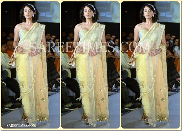 Embroidery_Shimmer_Saree