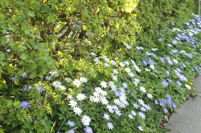 [20120501_161008%255B7%255D.jpg]